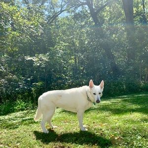 Meet your Posher, Annabell